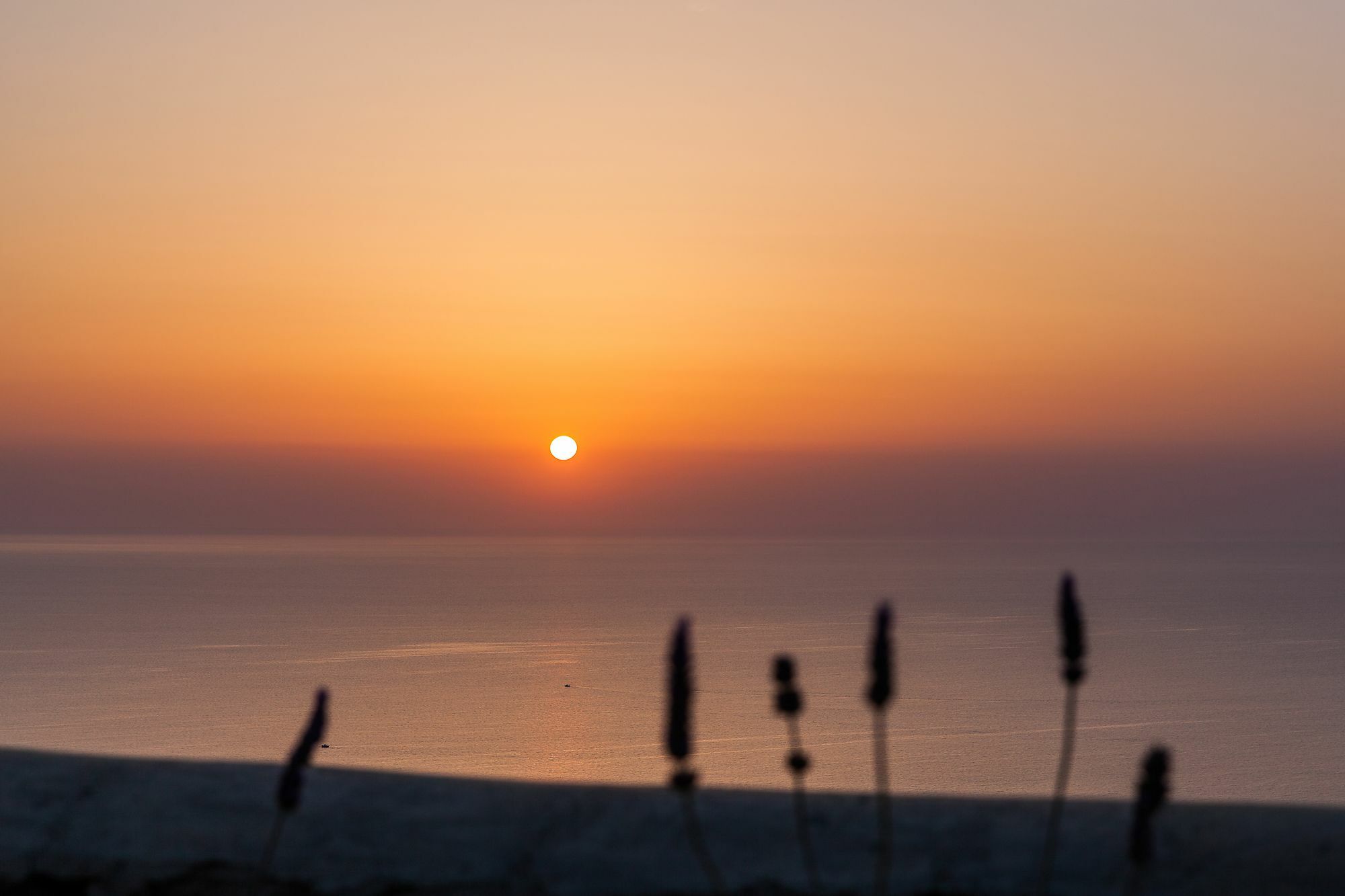 Villa Vinea Santorini Imerovigli  Bagian luar foto